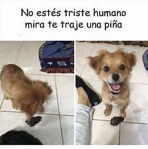 Image result for Los Memes Mas Chistosos