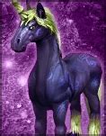 Image result for Brian Ray and Black Unicorn
