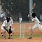 Image result for Cricket Wallpaper