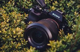 Image result for Wallpaper for PC 4K Sony Camaras