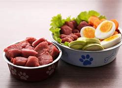 Image result for Raw Food Diet for Dogs