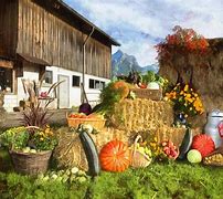 Image result for Vegetable Farm Harvest