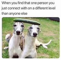 Image result for Wholesome Memes for Best Friends