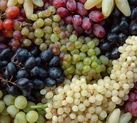 Image result for Grape Names