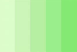 Image result for My Dream Palette