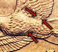 Image result for Wounded Eagle Quarter