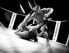Image result for Mixed Martial Artist