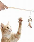 Image result for Cat Toy Strings On Stick