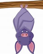 Image result for Bat Sleep Upside Down Cartoon