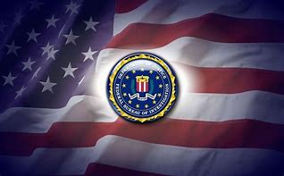 Image result for FBI Logo with American Flag
