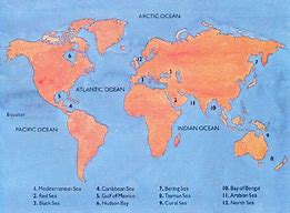 Image result for Which Is the Largest Ocean in the World