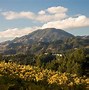 Image result for Napa Valley California