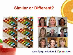 Image result for Similarity's and Differnces