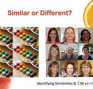 Image result for Similarity and Difference