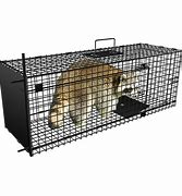Image result for All Kinds of Animal Traps