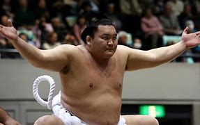 Image result for Sumo Champion