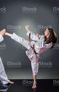 Image result for Karate Pics