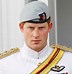 Image result for Prince Harry Wedding Uniform