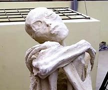 Image result for Peru Alien Mummy