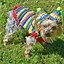 Image result for Cute Funny Dog Halloween Costume