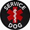 Image result for Bodyguard Service Dog Patch