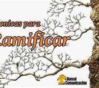Image result for ramificar