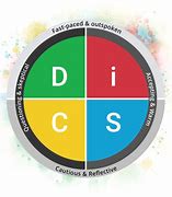 Image result for Disc Profile Logo