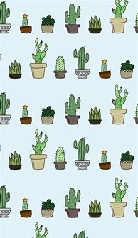 Image result for Cactus Aesthetic PC Wallpaper
