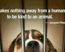 Image result for Quotes About Animal Shelters