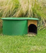 Image result for Pet Hedgehog Home