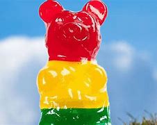 Image result for World's Largest Gummy Bear