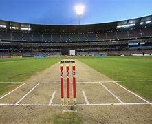 Image result for Cricket Pitch Front View