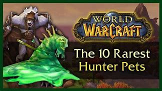 Image result for WoW Cool Purple Pets