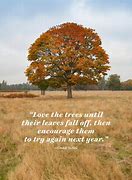 Image result for nov first motivational quotations
