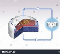 Image result for Schamatic of a Silver Oxide Primary Battery