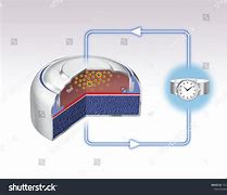 Image result for Silver-Oxide Battery