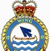 Image result for Canadian Air Force Badge