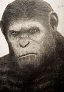 Image result for Planet of the Apes Caesar Fan Art