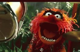 Image result for Muppet Rodent GIF