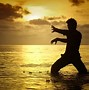 Image result for Silat Harimau