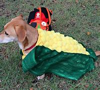 Image result for Corn Dog Costume