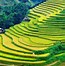 Image result for Background Bậc Thang 5S