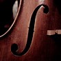 Image result for Cello String Instrument
