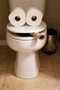 Image result for Skibidi Bop Toilet CA