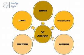 Image result for What Is 5C Analysis Document Template