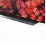 Image result for LG OLED 6.5 Inches