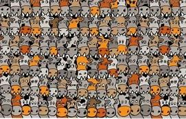 Image result for Can You Find for Kids