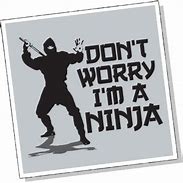 Image result for Ninja vs Invisible Man Funny