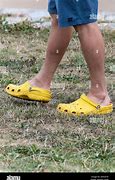 Image result for Person Holding a Pair of Crocs