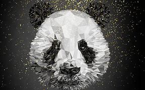 Image result for Cool Panda Designs